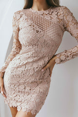Reinhart Lace Overlay Mini Dress Mocha