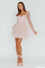 Veola Long Sleeve Tulle Mini Dress Blush